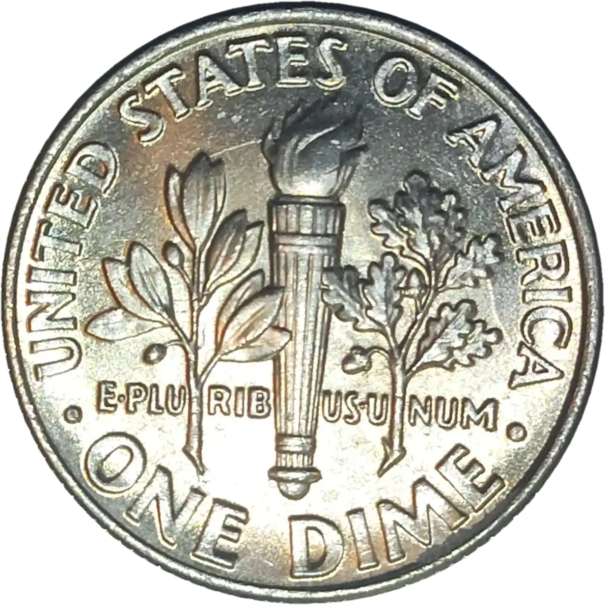 USA roosevelt 1 dime 2019